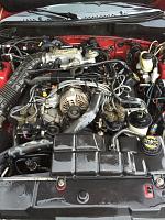 Pics of my new-to-me 98 GT-98-gt-engine.jpg