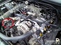 02 Mustang GT Electrical Connector - ID Help-51605_800px.jpg
