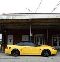 two tone paint got a ? for you guys on my 99-yellowstang.jpg