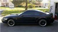 Post pics of your NEW EDGE cars with CUSTOM PAINT JOBS (racing &amp; pinstripes and more)-stang.jpg