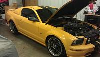 Whats your dream stang?-imag0421.jpg