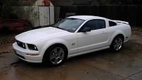 Whats your dream stang?-imag0425.jpg
