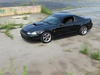 Those with black new edge mustangs please come inside-anthracite-bullitts.jpg