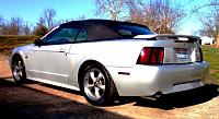Pics of Mustang with Eibach Pro Kit-p3100222.jpg