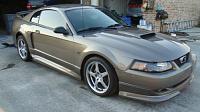  The boy's rides in the MF 4.6 section-roush.jpg