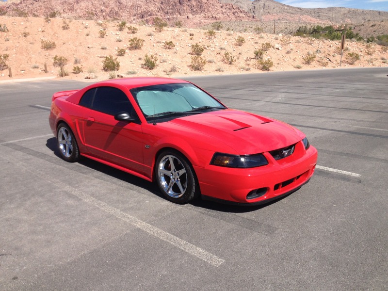 Name:  Mustang-New.jpg
Views: 25
Size:  164.2 KB