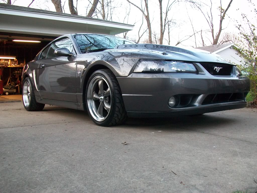 Name:  Mustang2012001.jpg
Views: 550
Size:  162.5 KB