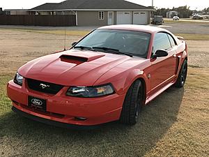 1996-2004 Mustang Picture Buffet Thread-img_4906.jpg