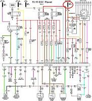 Where is this part-91-93_5.0_eec_wiring_diagram.jpg