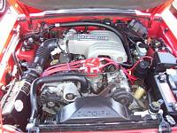 Post up your engine bay pictures!!!!!!!-erbs-027.jpg