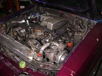 Post up your engine bay pictures!!!!!!!-pics-of-wandas-car-001.jpg