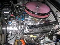 EFI TO CARB COMPLETE! PICS-mustang-oct-painted-skirts-021.jpg