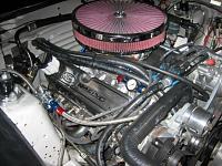 EFI TO CARB COMPLETE! PICS-mustang-oct-painted-skirts-022.jpg