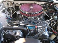 EFI to CARB New pictures!!-efi-to-carb-007.jpg