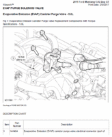 Location of Two Engine Components-purge-solenoid-pic.gif