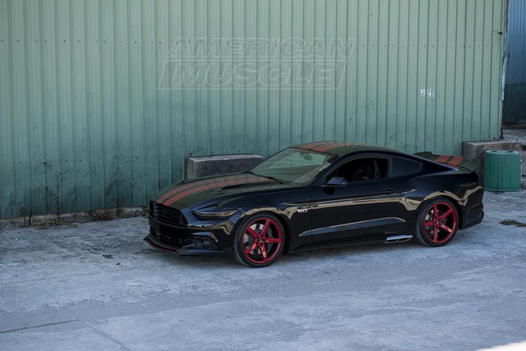 Name:  ford-mustang-s550-2015-americanmuscle-modernmuscledesign-mmd-project-car-side-view_zps5.jpg
Views: 182
Size:  87.6 KB