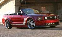 cutting the front bumper-mustang_gt_single.jpg