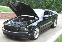 9 Second Kenne Bell Twin Screw Supercharged Custom Ford 2005 Mustang GT Huge HP-img_0883.jpg