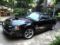 04 GT black on black, CLEAN! 30k mi asking 12,500-user95532_pic1215_1219519988.jpg