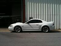 Very Clean 2004 Mustang GT-img_1000000005.jpg