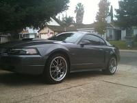 2003 Mustang GT-154325_172336809453207_100000306685301_441632_1253517_n.jpg