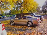 2005 Mustang V6 GT CLONE-0928111634-1-2-.jpg