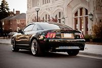 2001 Mustang GT Bullitt #5381  56k miles-dsc_0707-copy.jpg
