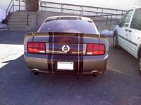 2005 Mustang GT (NICE LOOKER))-stang.jpg