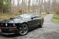 2006 Ford Mustang GT Premium-5q55k15m93ld3ia3n4c7i81946493ec3d15e1.jpg