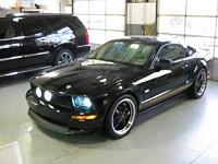 FS/FT 2006 Mustang GT 5spd. Clean-13340_1262138522389_1497501792_30713163_3955986_n.jpg