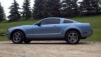 2008 mustang v6 5 speed dont wanna sell but have to-baby.jpg