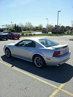 2004 Mustang GT 5spd Silver w/ 82,000 miles-3k13l93fd5n85gc5jad2o3fe4df0f57351298.jpg