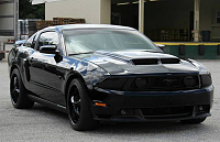 2010 Mustang GT Premium-side.png