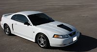 FS: 1999 Mustang GT Limited Edition-white-mustang-1-small.png