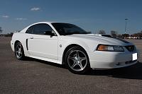 FS: 1999 Mustang GT Limited Edition-white-mustang-3-small.jpg