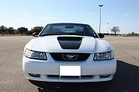 FS: 1999 Mustang GT Limited Edition-white-mustang-7-small.jpg