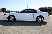 FS: 1999 Mustang GT Limited Edition-white-mustang-11-small.jpg