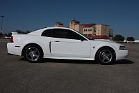 FS: 1999 Mustang GT Limited Edition-white-mustang-22-small.jpg