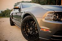 2014 Mustang GT (Trak Pack)-mustang2reduced.jpg