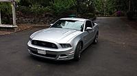 2014 Mustang 5.0 6 speed, 13,400 miles-mustang-1.jpg