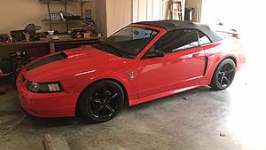 1999 Ford Mustang GT 35th Anniversary Convertible-img-1896.jpg