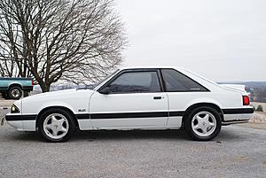 1989 Ford Mustang LX 5.0L V8 5 Speed Hatchback-dsc08707.jpg