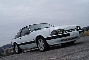 1989 Ford Mustang LX 5.0L V8 5 Speed Hatchback-dsc08713.jpg