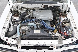 1989 Ford Mustang LX 5.0L V8 5 Speed Hatchback-dsc08714.jpg