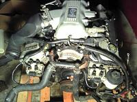 Complete 98 cobra motor with harness and ECM-2010-12-04-22.38.46.jpg