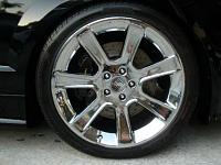 Saleen 7 Spokes Wheels w/ Pirelli Tires-p1011027.jpg