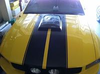 2006 Mustang GT partout-gt-partout-4.jpg