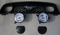 2013-14 Mustang OEM Grille, Led Fog Lights, Covers and Hardware-img_2561-copy.jpg
