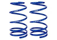 Looking for a set of Roush Front springs-S197-roush-front-springs.jpg