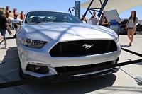 50th Anniversary of the Mustang - Las Vegas April, 14, 2014 thread-6q3a0296.jpg